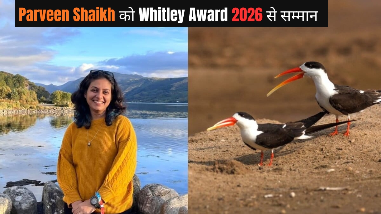 पक्षी संरक्षण में योगदान के लिए Parveen Shaikh को Whitley Award 2026